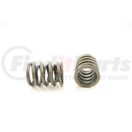 RV884X100 by PIONEER - VALVE SPRING