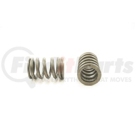 RV8864 by PIONEER - VALVE SPRING