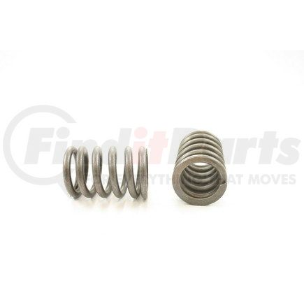 RV8874 by PIONEER - VALVE SPRING