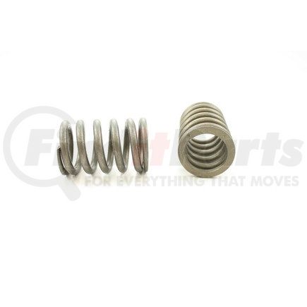 RV8914 by PIONEER - VALVE SPRING