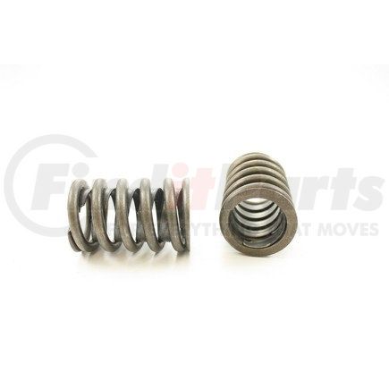 RV891X100 by PIONEER - VALVE SPRING