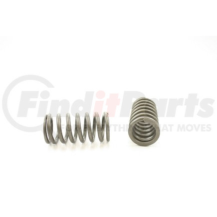 RV8934 by PIONEER - VALVE SPRING