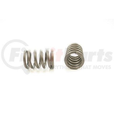 RV9024 by PIONEER - VALVE SPRING