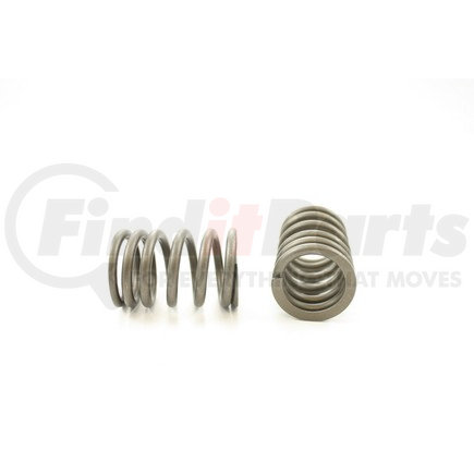 RV9064 by PIONEER - VALVE SPRING