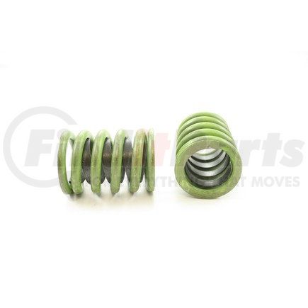 RV907X4 by PIONEER - VALVE SPRING