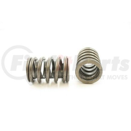 RV909X100 by PIONEER - VALVE SPRING