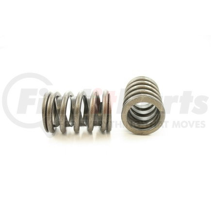 RV909X4 by PIONEER - VALVE SPRING