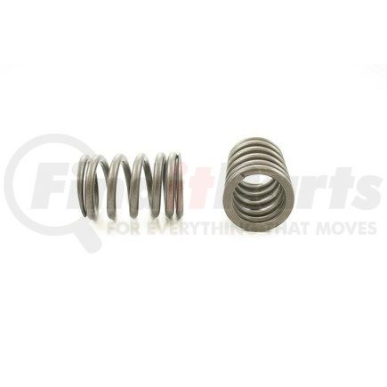 RV9234 by PIONEER - VALVE SPRING