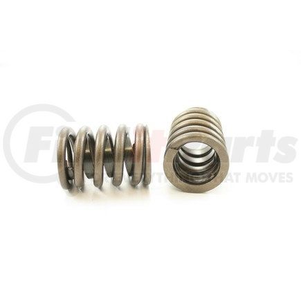 RV961X100 by PIONEER - VALVE SPRING