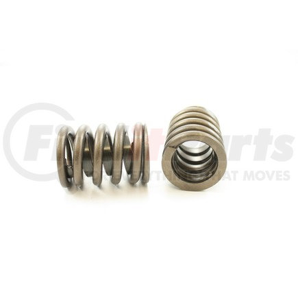 RV961X4 by PIONEER - VALVE SPRING