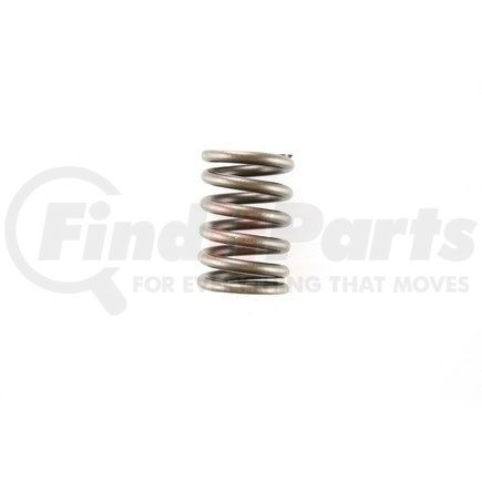 RV991100 by PIONEER - VALVE SPRING