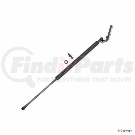 613247 by TUFF SUPPORT - Hood Lift Support for LEXUS