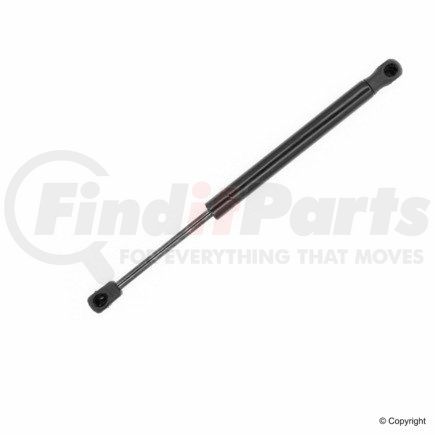 613506 by TUFF SUPPORT - Hood Lift Support