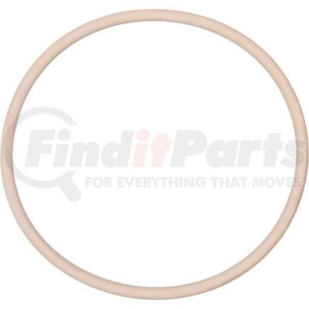 ZUSATFE014 by USA SEALING - PTFE O-Ring-Dash 014 - Pack of 25