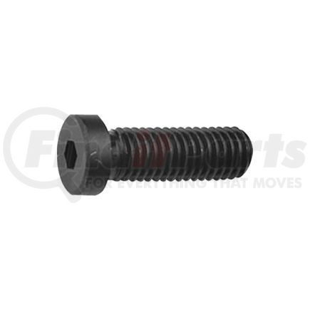 69004 by HOLO-KROME - 10-32 x 1/2" Low Socket Cap Screw - Steel - Black Oxide - UNF - Pkg of 100 - USA - Holo-Krome 69004