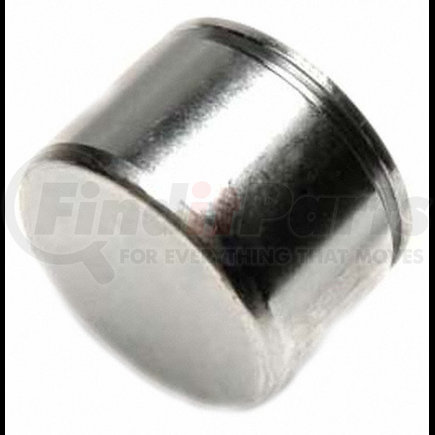 DPS85002 by RAYBESTOS - DISC BRAKE CALIPER PISTON