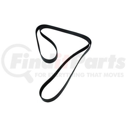 S-25559 by NEWSTAR - Serpentine Belt, 8 Rib