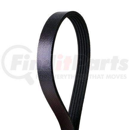 4050330 by CONTINENTAL - Multi-V Belt