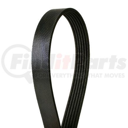 4060870 by CONTINENTAL AG - Multi-V Belt