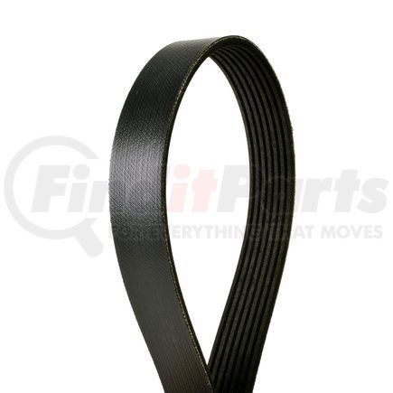 4070567 by CONTINENTAL - Multi-V Belt