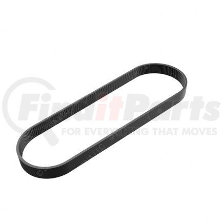 01-24894-002 by FREIGHTLINER - BELT,10 R