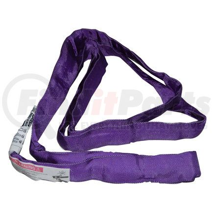 20-ENR1X3 by ANCRA - 1" x 3' PURPLE ENDLESS RND SLING