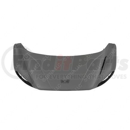 A17-20384-005 by FREIGHTLINER - HOOD-100,BZL