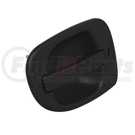 A18-53241-000 by FREIGHTLINER - HANDLE-RE