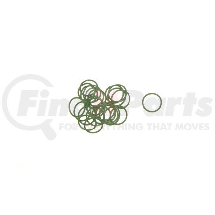 40-03504-25 by OMEGA ENVIRONMENTAL TECHNOLOGIES - ORING GREEN #12 FTG & SPRINGLOCK 25 BAG