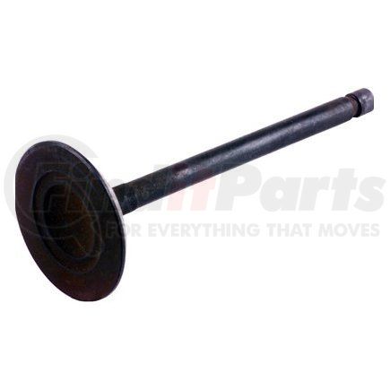 Beck Arnley 021-3294 INTAKE VALVE