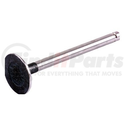 Beck Arnley 021-2464 EXHAUST VALVE
