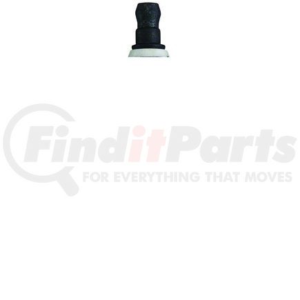 Autolite AP145 Platinum Spark Plug