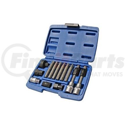 Dayco 93877 OAP TOOL KIT