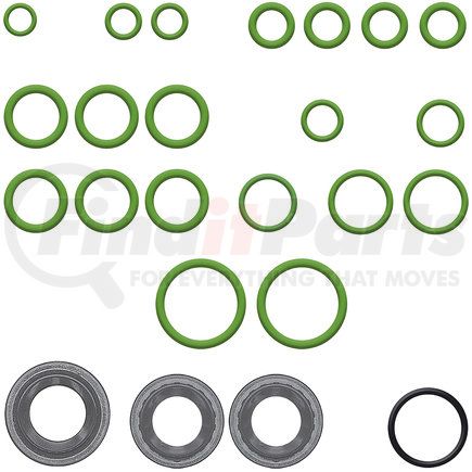 Omega Environmental Technologies MT2555 Rapid Seal Kit