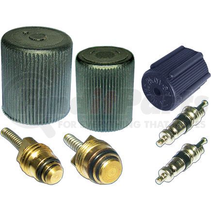 Omega Environmental Technologies MT2905 CAP & VALVE KIT (SEE APPLICATION GUIDE)
