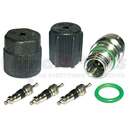 Omega Environmental Technologies MT2901 CAP & VALVE KIT (SEE APPLICATION GUIDE)