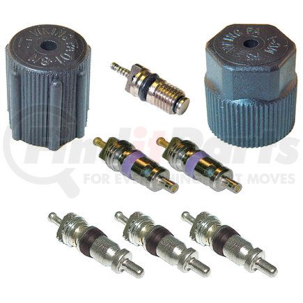 Omega Environmental Technologies MT2912 CAP & VALVE KIT (SEE APPLICATION GUIDE)