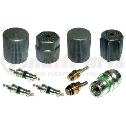 Omega Environmental Technologies MT2908 CAP & VALVE KIT (SEE APPLICATION GUIDE)