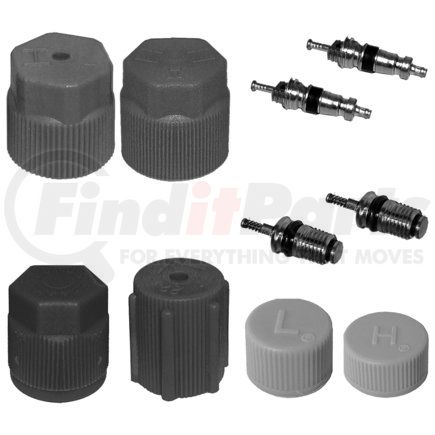 Omega Environmental Technologies mt2909 CAP & VALVE KIT (SEE APPLICATION GUIDE)