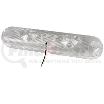 Grote 61F81 LED Cabinet/Compartment Dome Light - Clear