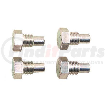 Haldex 44310096 Anchor Screw