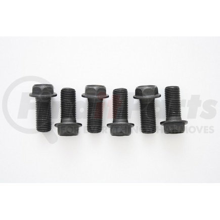 Pioneer 859030 Flywheel Bolt Kit