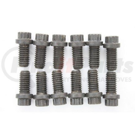 Pioneer 854023 12 Pt. Fastener Kit