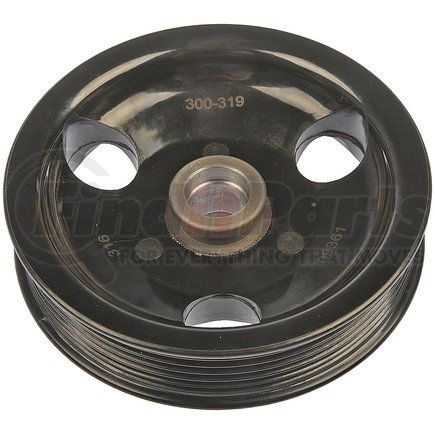 Dorman 300-319 PWR STEERING PULLEY