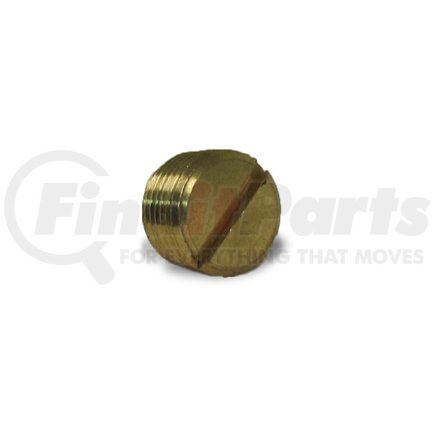 Velvac 017101 Pipe Fitting, Slotted Plug, Brass, 1/8"