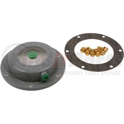 SKF 1669 Hubcap