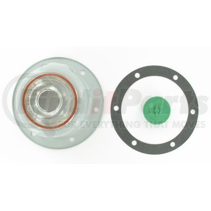 SKF 1723 Hubcap
