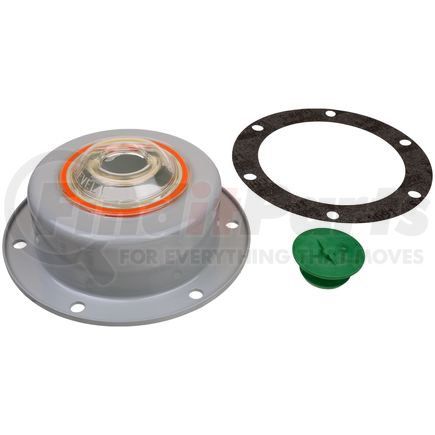 SKF 1743 Hubcap