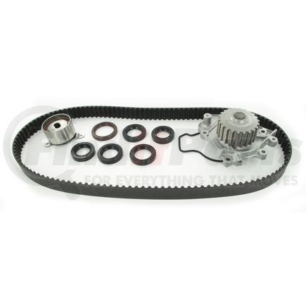 SKF TBK227WP Timing Belt Kit