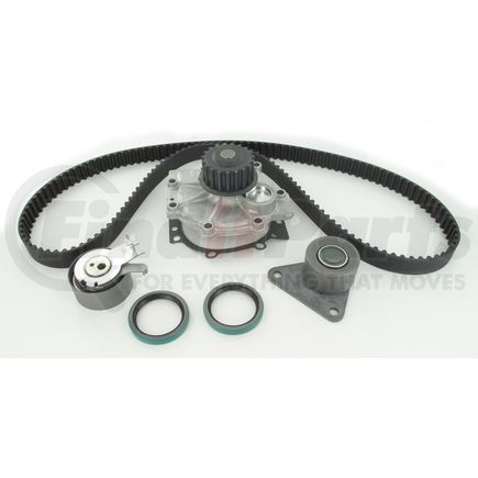 SKF TBK252WP Timing Belt Kit